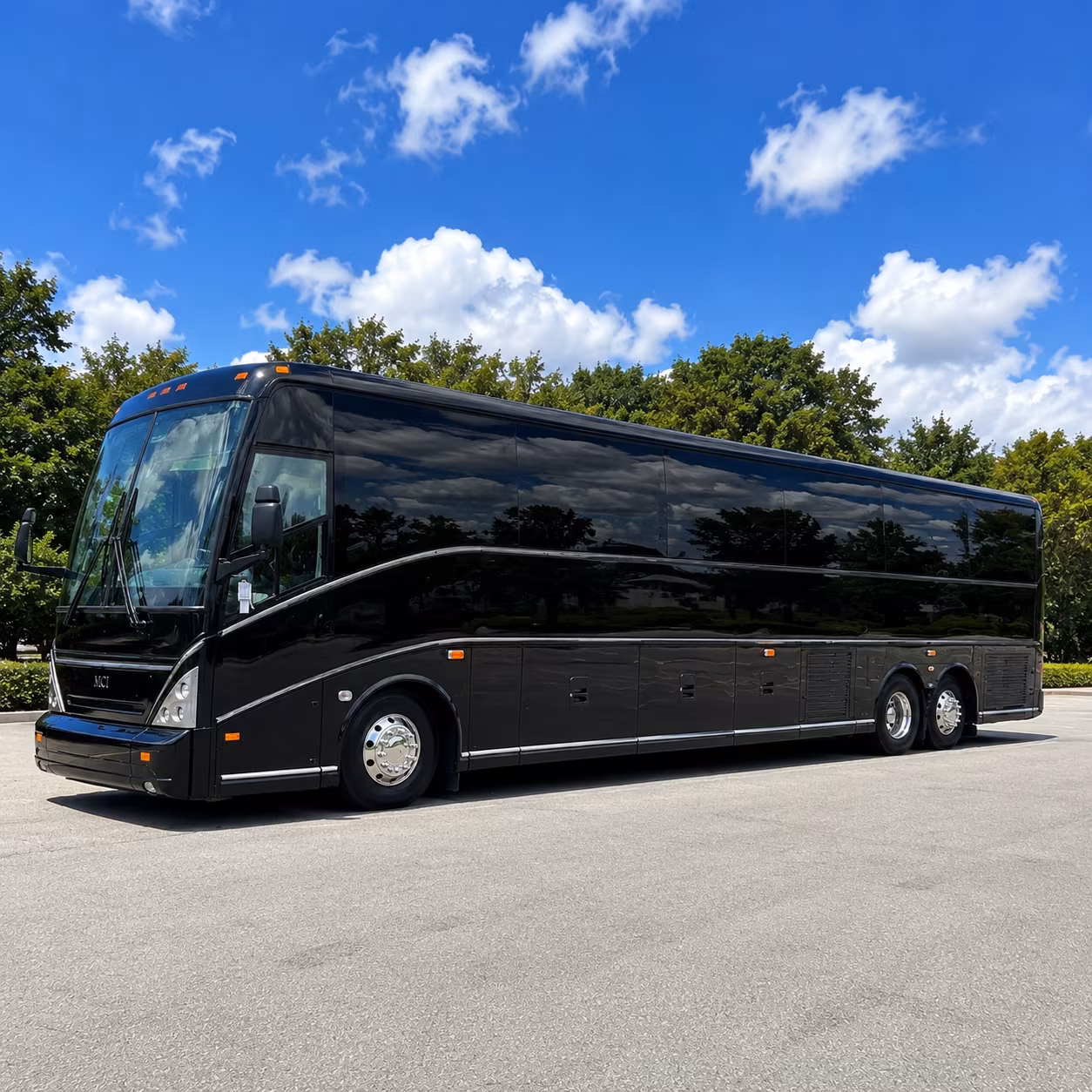 everglades national park field trips from homestead made easy